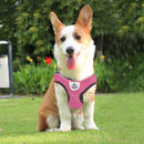 Polyester Cat Dog Harness Comfortable Cat Harness Vest Pet Supplies for Training