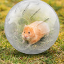 Solid Rodent Jogging Ball Gerbil Hamster Fitness Portable Rolling Ball Play Toys