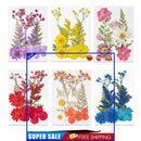 6pcs Dried Flower Material Packages Real Pressed Dry Flowers & Tweezer Kit