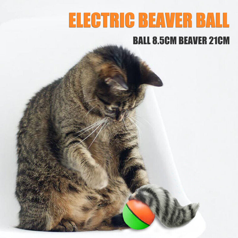Electric Beaver Weasel Rolling Ball Pet Dog Cat Interactive Chasing Toys Random