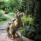 Dinosaur Eating Gnomes Garden Statue Outdoor Art Sculpture for Patio (S) Newly