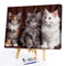 DIY Digital Painting By Numbers Cat Canvas Picture Modern Home Living Room Decor