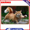 Lawn Cat Metal Retro Tin Sign Poster Wall Plate for Living Room Accessories