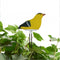 Soil Water Tester Bird Shape Flower Pot Moisture Sensor Farm Meter (Yellow)