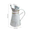Style Iron Sheet Garden Home Embossed Wrought Watering Can Vases Flower Bucket