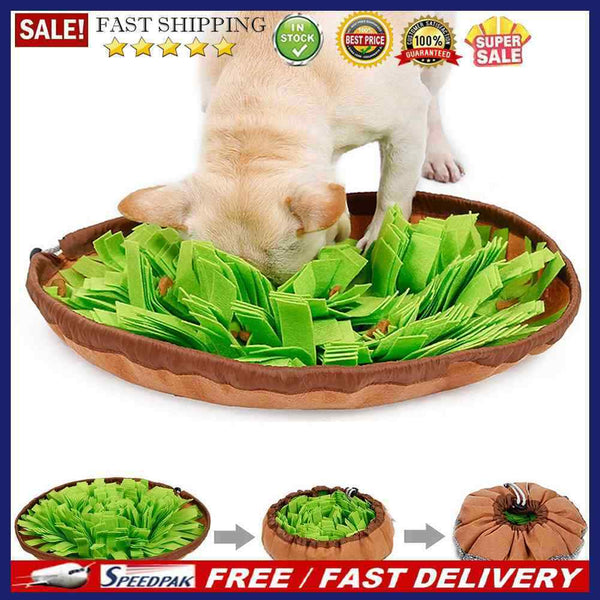 Pet Snuffle Mat, Treat Interactive Slow Eat Bowl Training Foraging Toys for