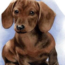 Hanging Neck Brown Dog Printed Linen Cleaning Apron Kitchen Cafe Home Pinafor