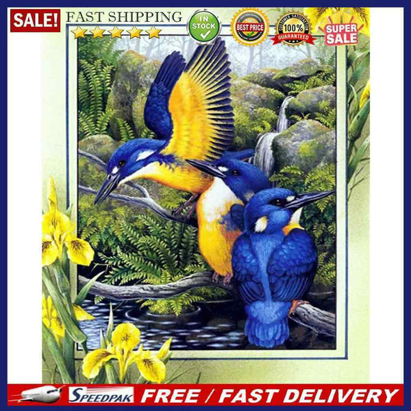 Flower Bird Oil Paint By Numbers Kit DIY Acrylic Painting Wall Art Picture Craft