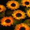 LED Solar Sunflower Shape Light Ground Plug-in Iron Lamp Path Decor (A)