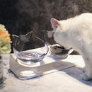 Double Cat Bowls, Raised Pet Tilted Stand Food Water Feeder Bowls for Kitten Cat