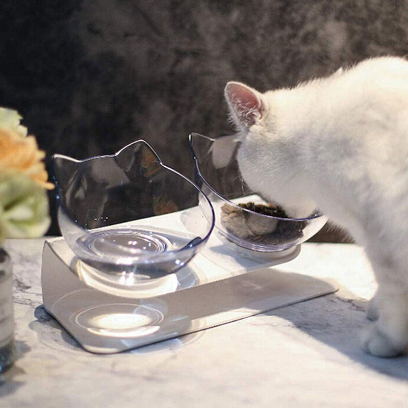 Double Cat Bowls, Raised Pet Tilted Stand Food Water Feeder Bowls for Kitten Cat