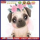 Dog 40x50cm Oil Paint By Numbers Picture DIY Painting M511)