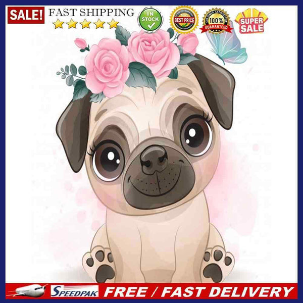 Dog 40x50cm Oil Paint By Numbers Picture DIY Painting M511)
