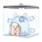 Dissipation Small Pet Cooling Ice Nest Summer House Cooling House Hamster Igloo