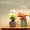 Full Spectrum Timer Growing Lamp Grow Light Indoor Plants LED Plant Light