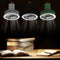 Multifunctional Mini Fan with LED Light Desktop Ceiling Fan (Green Tripod)