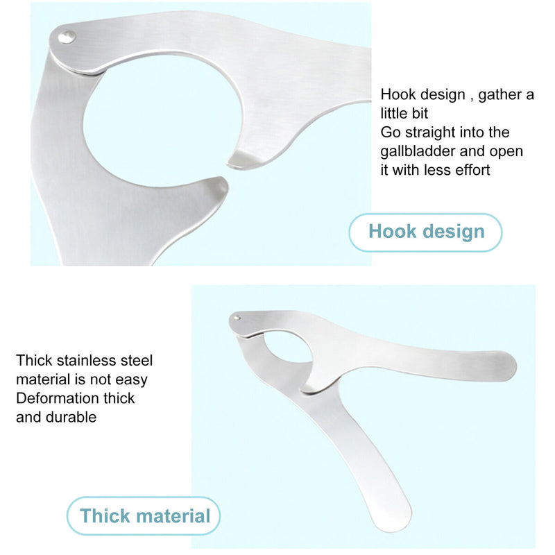 Stainless Steel Sea Urchin Scissors - Multipurpose Ultra Sharp Utility Tool