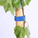 Colorful Nylon Bandage Tie Garden Plant Shape Tape Nylon Bandage (Blue) Newly