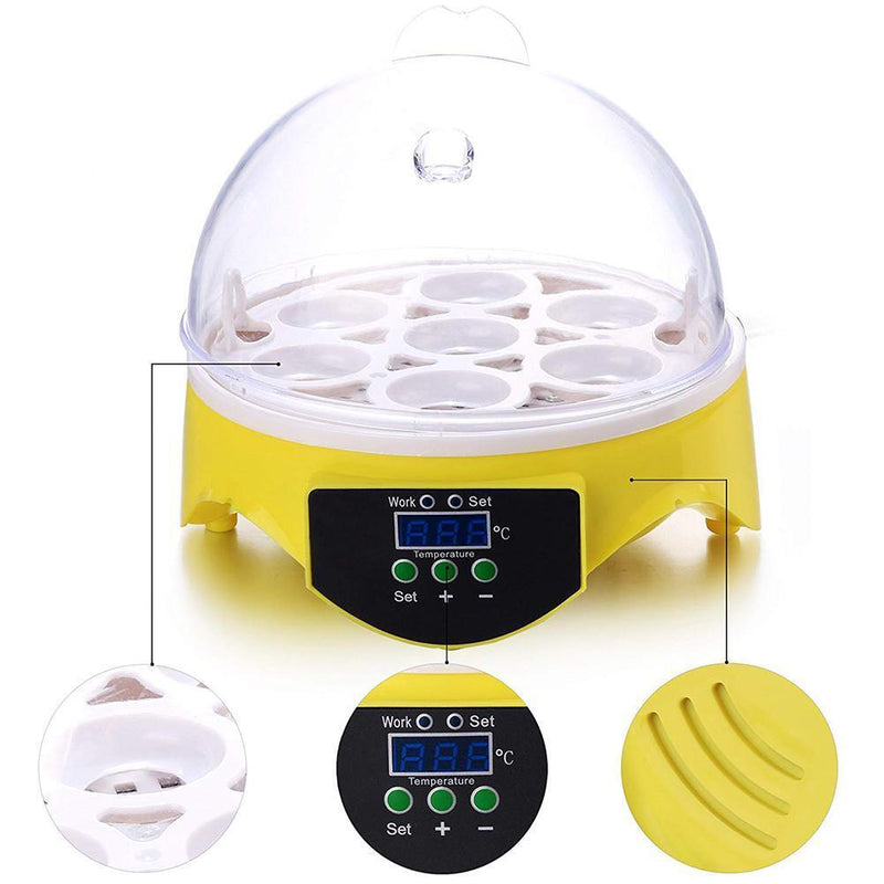 7 Egg Incubator Poultry Incubator Brooder Digital Temperature Control (US) Newly