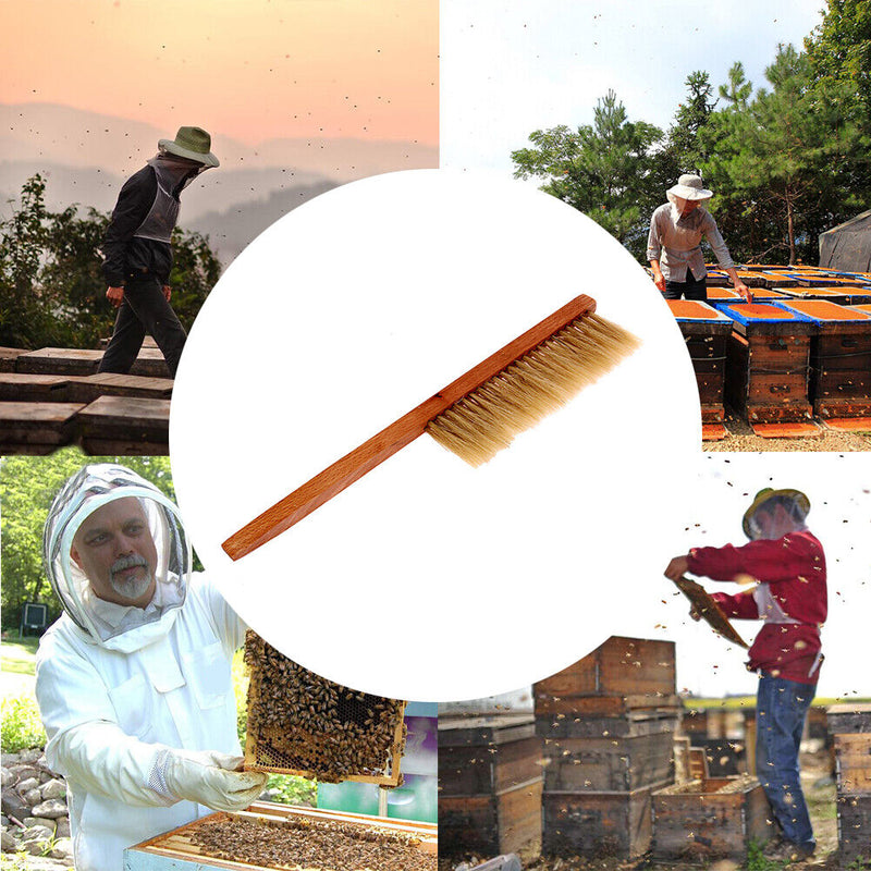 Beekeeping Tools Yellow Wood Bee Sweep Brush Pig's Bristles Bee Brushes Newly