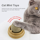 Healthy Cat Catnip Toys with Dust Cover Molar Teeth Kitten Cat Toys Pet Products