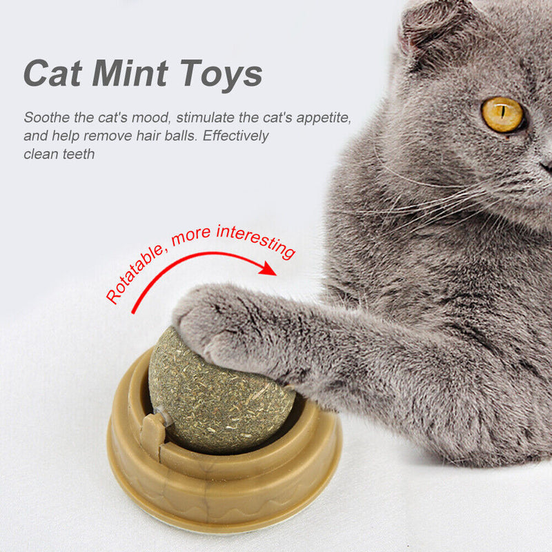 Healthy Cat Catnip Toys with Dust Cover Molar Teeth Kitten Cat Toys Pet Products