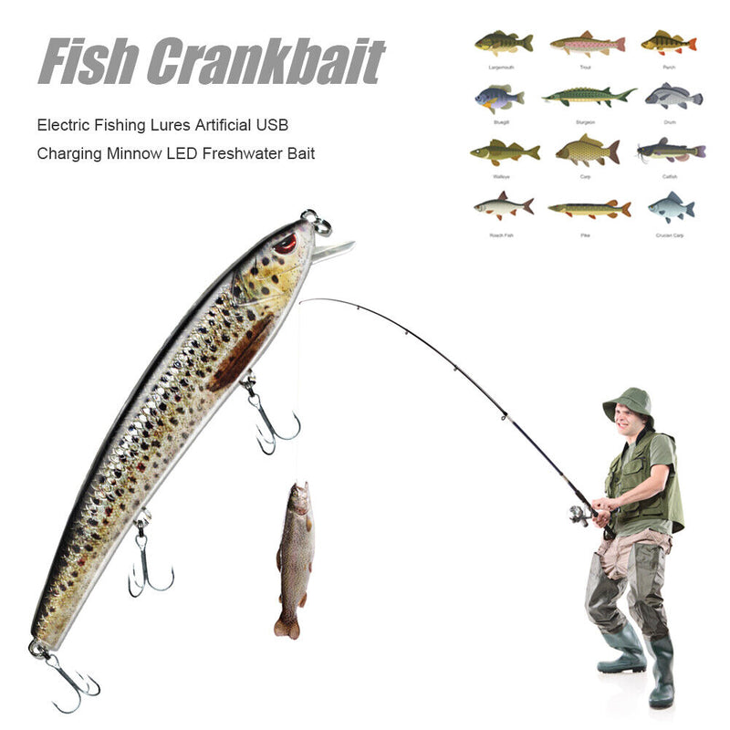 Electric Fishing Lure Minnow LED Light USB Rechargeable Bionic Freshwater Baits