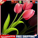 5D Full Round Drill Diamond Painting DIY Pink Tulip Wall Rhinestone Picture