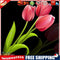 5D Full Round Drill Diamond Painting DIY Pink Tulip Wall Rhinestone Picture