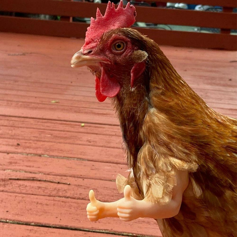 Thumbs Up Chicken Arms Made in Texas Gag Gift Chicken Arms For Chicken HOT I8O1