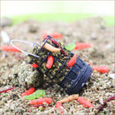 Fishing Bait Cage Hollow Stainless Steel Feeding Lure Trap Fishing Feeder Tackle