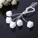 5pcs/set Baby Milk Teeth Storage Box Plastic False Teeth Organizer Case Newly