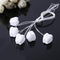 5pcs/set Baby Milk Teeth Storage Box Plastic False Teeth Organizer Case Newly