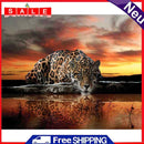 Painting By Numbers DIY Kit Lonely Leopard Canvas Oil Art Picture for Home Decor