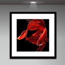 Goldfish Full Drill Round Diamond Painting DIY Needlework Cross Stitch(Red)