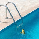 Floating Pool Thermometer Pool Accessories for Water Temperature (Frog)