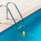 Floating Pool Thermometer Pool Accessories for Water Temperature (Frog)