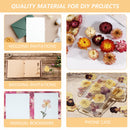 Dried Flower Material - Real Pressed Dry Flowers & Leaves Set for Nail Art Ma