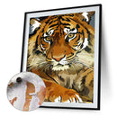 Tiger Animal Digital Painting Hand Painted Coloring By Numbers Decor (S20)