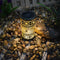 LED Solar Lantern Projection Light Wrought Iron Hanging Garden Courtyard Decor