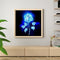Diamond painting DIY round diamond rose flower series B1665