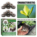 Nursery Soil Blocks - Mixed Pellets Garden Seeds Soil Blocks for Indoor Plants