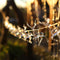 String Lights - Christmas Decorations 10 LED Reindeer Fairy String Lights