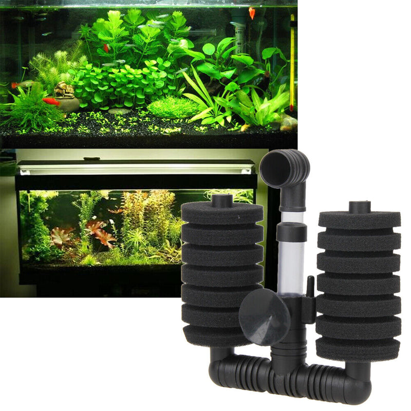 Practically Silent Sponge Filter Fish in the Aquarium Tank Biochemical Schwa