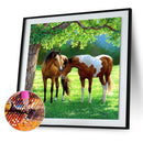 Handmade Full Square Drill 5D Horse on Prairie Drawing Kit DIY Diamond Painting