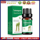 10ml Aromatherapy Water-soluble Essential Oils for Air Humidifier Aroma Diffuser