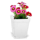 Strong White Plastic Square Plant Flower Pot Planter X5 K2V4 S4X1 Growing O8S8