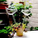 Small Bird Glass Watering Device For Household Balcony S1T5 2021 HOT! W7E4