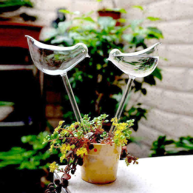 Small Bird Glass Watering Device For Household Balcony S1T5 2021 HOT! W7E4