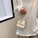 Mini Crossbody Bags Retro Print Straw Leather Handbags Chain Purse (Beige)